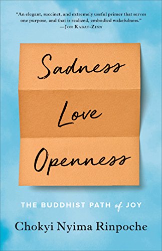 Chokyi Nyima Rinpoche - Sadness, Love, Openness Audio Book Free